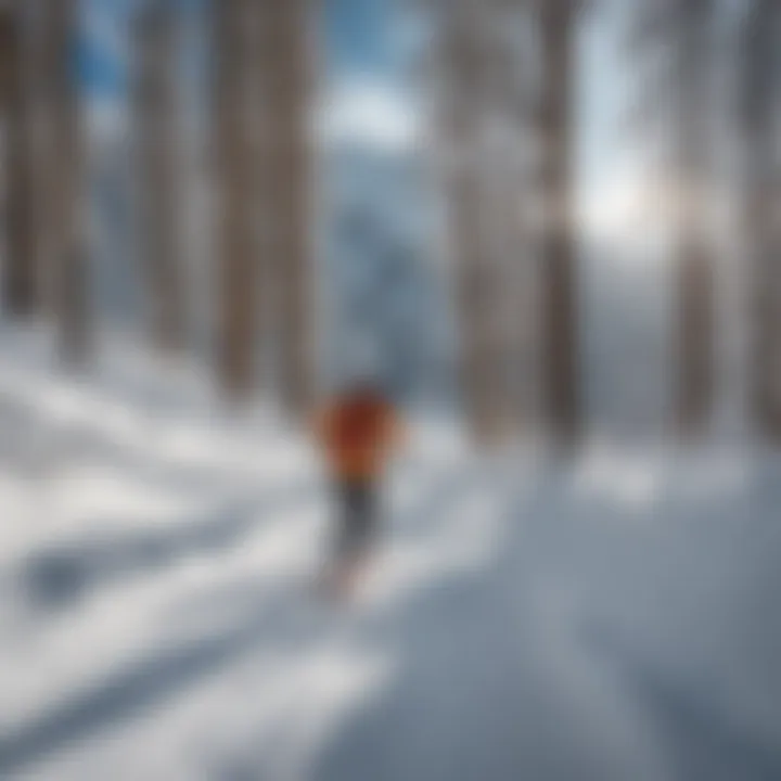 Skiers enjoying a well-maintained trail with breathtaking scenery.