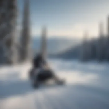 Snowmobiler navigating through a snowy landscape