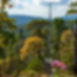 A serene view of a lush state park showcasing diverse flora and fauna