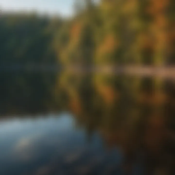 Reflection of vibrant colors on the calm waters