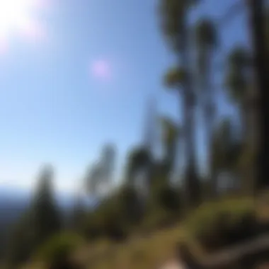 Notable Exploring the Big Bear Hikes: A Comprehensive Guide to Woodland Treks