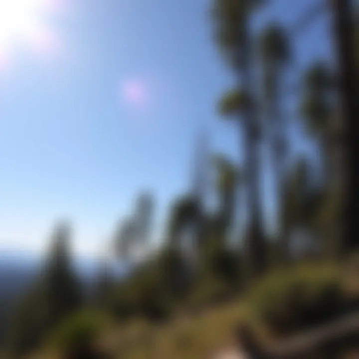 Notable Exploring the Big Bear Hikes: A Comprehensive Guide to Woodland Treks