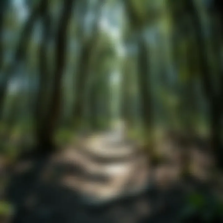 Notable Exploring the Depths of Houston Hiking Trails
