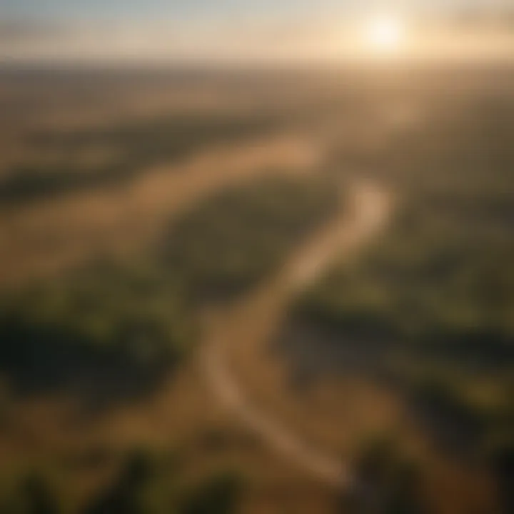 An aerial view of a savanna, highlighting its vastness and wildlife