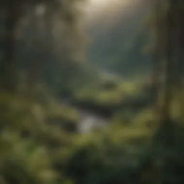 An aerial view of a diverse Hawaiian forest illustrating its rich biodiversity