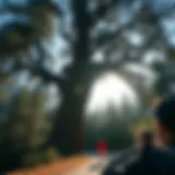 Exploring the Drive-Through Tree in Yosemite: A Unique Interaction with Nature Introduction