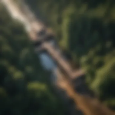 An aerial view of a sawmill surrounded by lush forests, emphasizing its ecological context