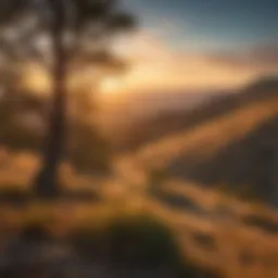 Scenic view of Boise foothills during sunrise