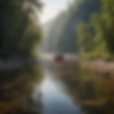 Conservation Initiatives for Hiwassee River Preservation Environmental conservation efforts along the Hiwassee River