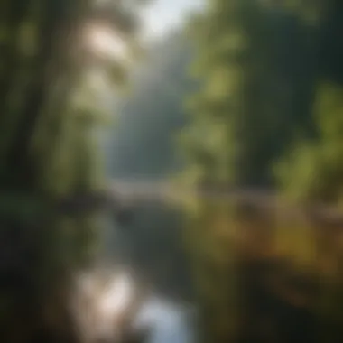 Wildlife near the banks of the Hiwassee River