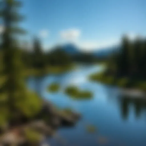 Exploring the Land Between the Lakes: A Comprehensive Overview Introduction