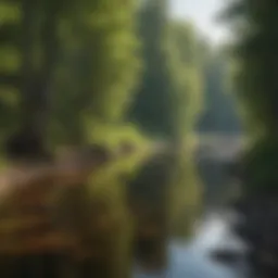 A serene view of the Manistee River flowing through dense forests