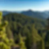 Exploring the Pacific Crest Trail in Washington: A Comprehensive Analysis Introduction