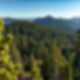 Exploring the Pacific Crest Trail in Washington: A Comprehensive Analysis Introduction