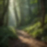 Scenic view of Rattlesnake Trailhead showcasing lush greenery and winding paths