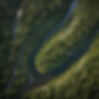 An aerial view of a winding river cutting through a lush forest, highlighting the ecological connectivity.