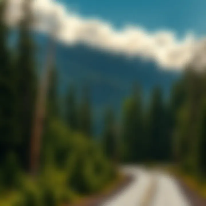 Exploring the Scenic Drive through Olympic National Park Introduction