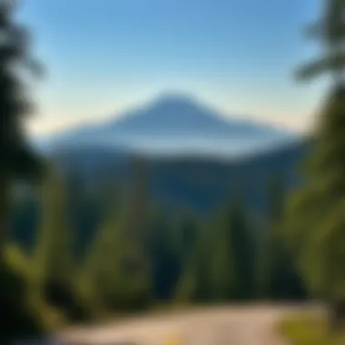 Exploring the Scenic Drive through Olympic National Park Summary