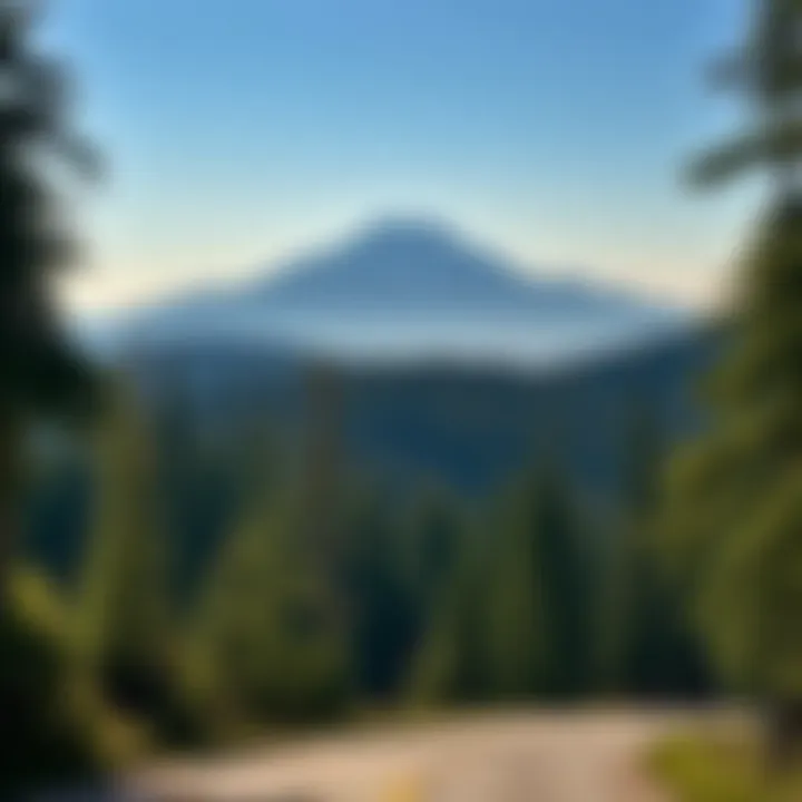 Exploring the Scenic Drive through Olympic National Park Summary