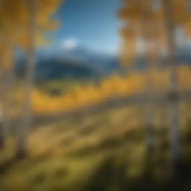 Majestic view of Aspen ski slopes under a clear blue sky