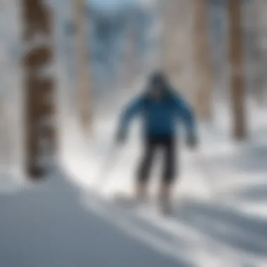 Skier gracefully navigating the terrain with stunning mountain backdrop