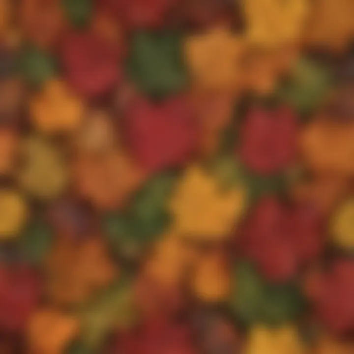 Close-up of colorful leaves highlighting pigment variations