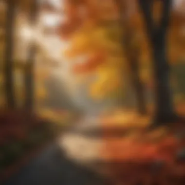 The Beauty of Fall Foliage Vibrant fall foliage showcasing a spectrum of colors