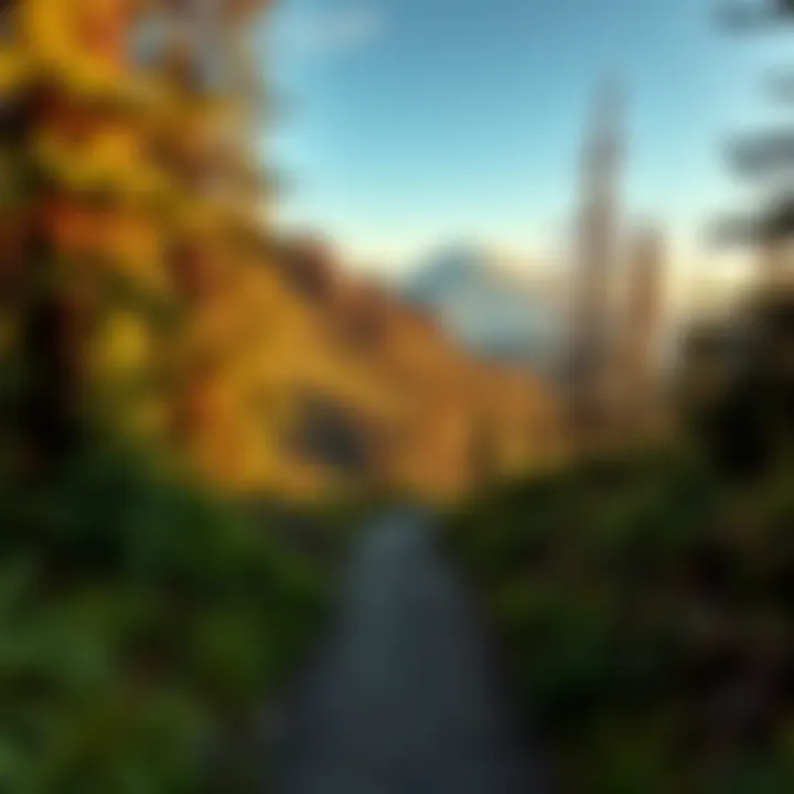 Scenic Trail to the Summit Trail leading to the summit, surrounded by lush greenery and volcanic rock formations.
