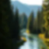 Exploring the Treasures of North Idaho Introduction