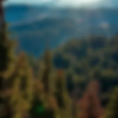 Exploring the Treasures of North Idaho Summary