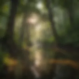 Lush forest canopy reflecting on serene waters
