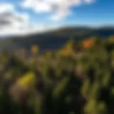 Exploring the Willamette Valley: A Comprehensive Guide by the Visitors Association Introduction
