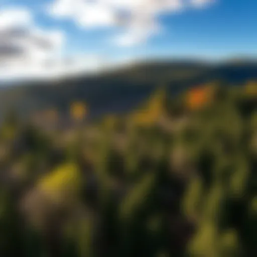 Exploring the Willamette Valley: A Comprehensive Guide by the Visitors Association Introduction
