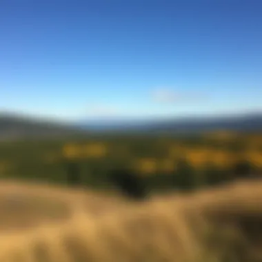 Notable Exploring the Willamette Valley: A Comprehensive Guide by the Visitors Association Notable Exploring the Willamette Valley: A Comprehensive Guide by the Visitors Association