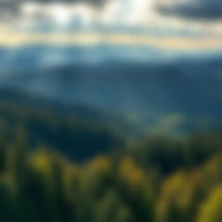 Exploring the Willamette Valley: A Comprehensive Guide by the Visitors Association Summary