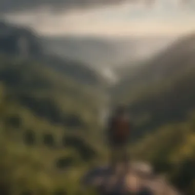 Hiker overlooking a breathtaking vista from a viewpoint