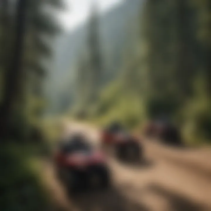 A group of four wheelers parked at a scenic overlook