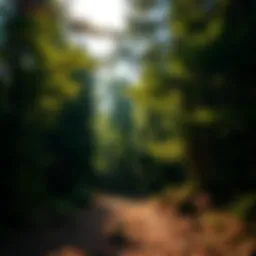 Exploring the Yonah Mountain Trail: A Comprehensive Guide Introduction