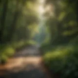 Breathtaking view of the Virginia Creeper Trail surrounded by lush greenery