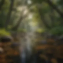 A serene view of White Oak Creek surrounded by lush greenery