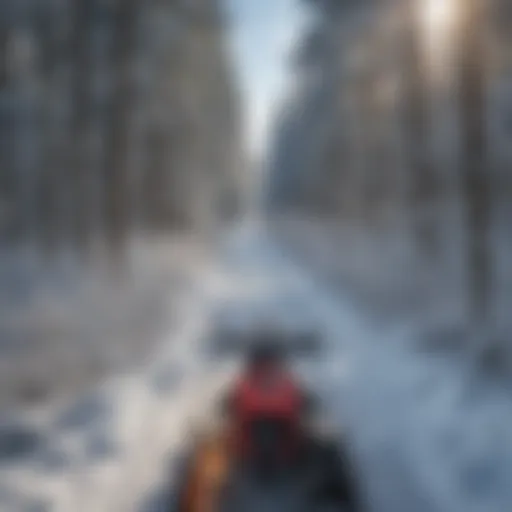 A breathtaking view of snow-covered trails winding through a dense forest in Wisconsin.