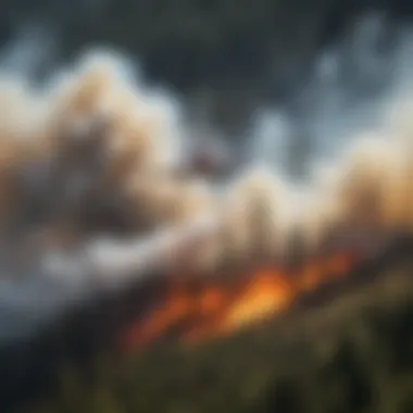 Aerial view of a fire extinguishing aircraft in action over a forest fire