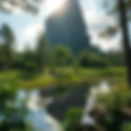 Florida's Largest National Park: An In-Depth Exploration Introduction