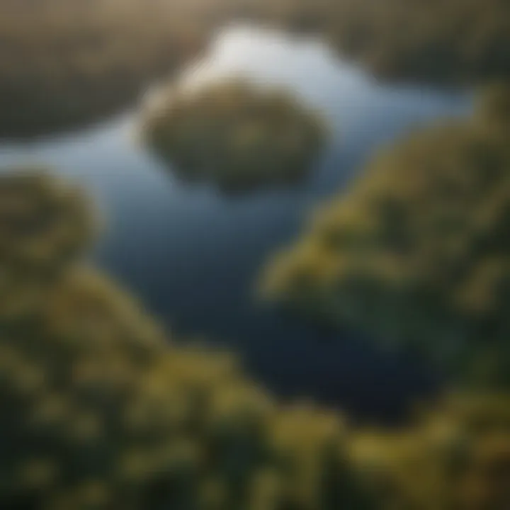 An aerial perspective of Foss Lake highlighting its surrounding ecology