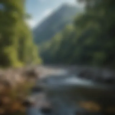 A scenic view of a West Virginia river, ideal for fishing.