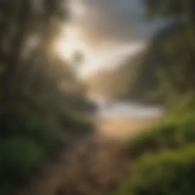 Coastal Scenery of Hawaii Breathtaking coastal views highlighting Hawaii's natural beauty