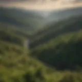 A panoramic view from Highpoint Overlook capturing the vast forest landscape.