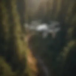 A drone soaring above a lush forest landscape