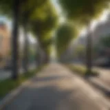 Urban sidewalk adorned with trees and greenery