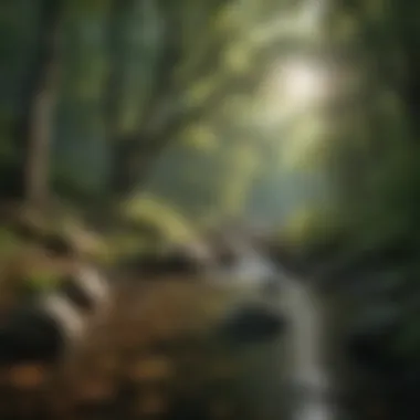 The Pristine Source of Laurel Mountain Spring Water Pristine source of Laurel Mountain Spring Water surrounded by lush greenery